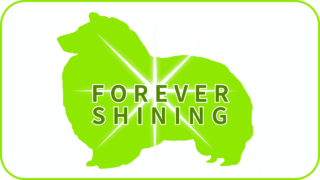 プルメリアの子供たち