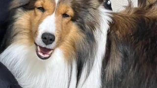 ゆずの赤ちゃん今日で6日目