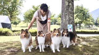 石川県連合会展に行って来ました(^^♪😃